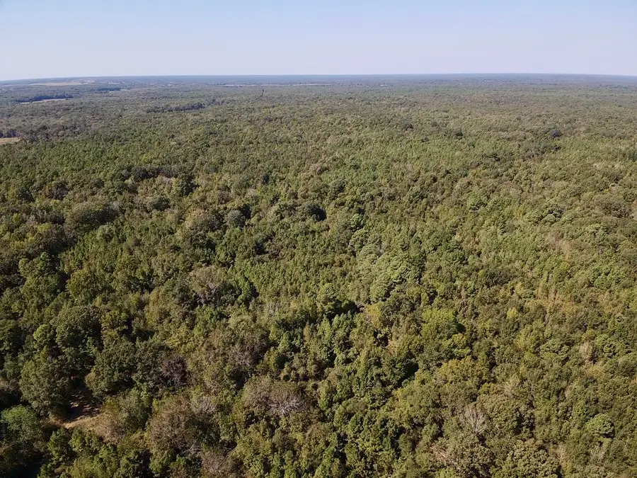 000 County Road 3230, Clarksville, TX 75426 - #3
