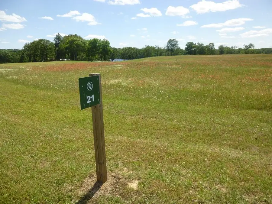 0 Caddo Creek Drive, Larue, TX 75770 - #2