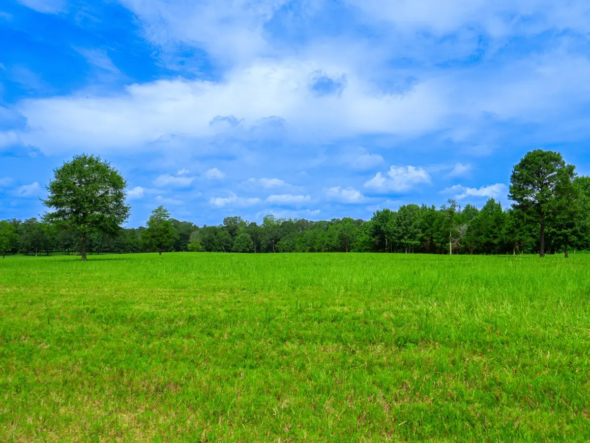 D-4 79 Highway, Homer, LA 71040 - #1