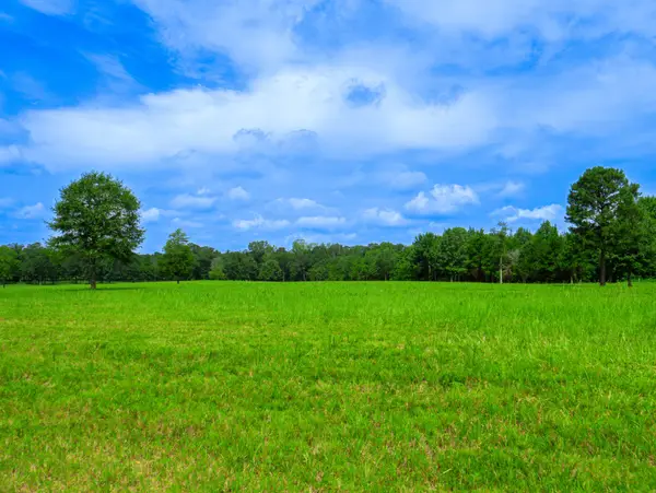 D-4 79 Highway, Homer, LA 71040