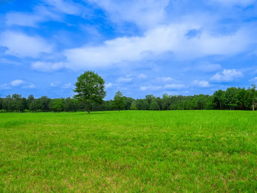 D-4 79 Highway, Homer, LA 71040 - #2