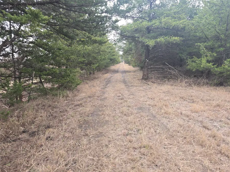 TBD 16Acres Tract 3 County Rd 36000, Honey Grove, TX 75446 - #3