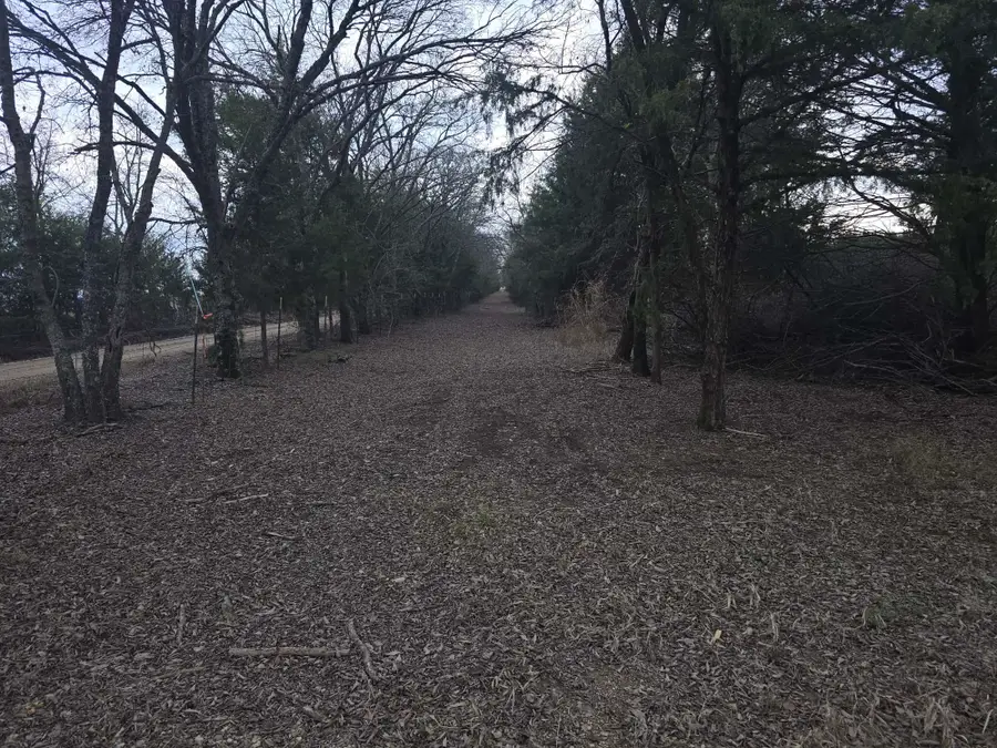 TBD 20 Acres Tract 1 County Rd 36000, Honey Grove, TX 75446 - #3