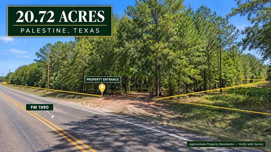 TBD Fm 1990, Palestine, TX 75801 - #3