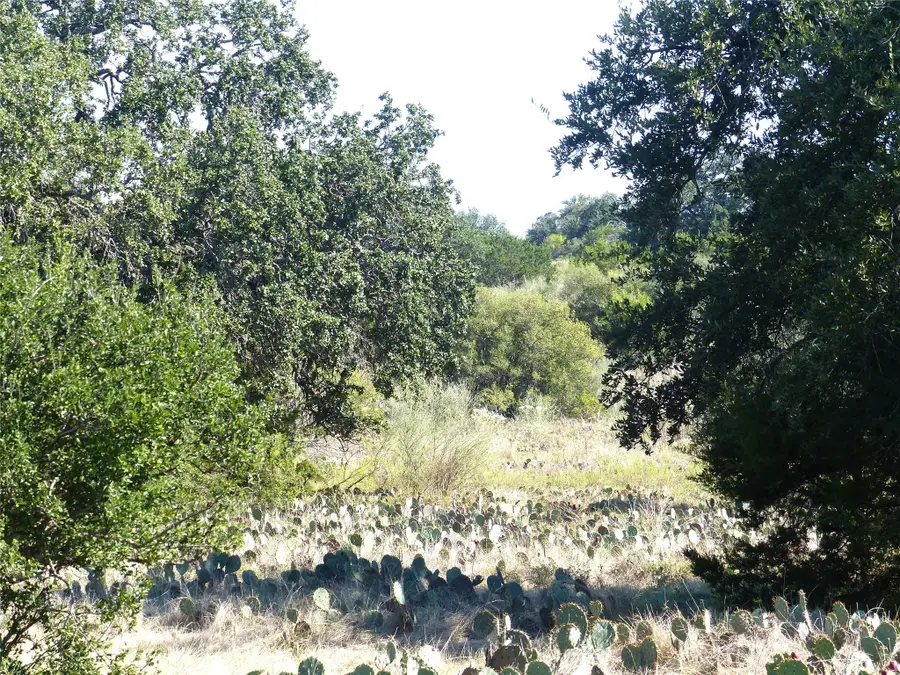 4251 State Hwy 71, Voca, TX 76887 - #2