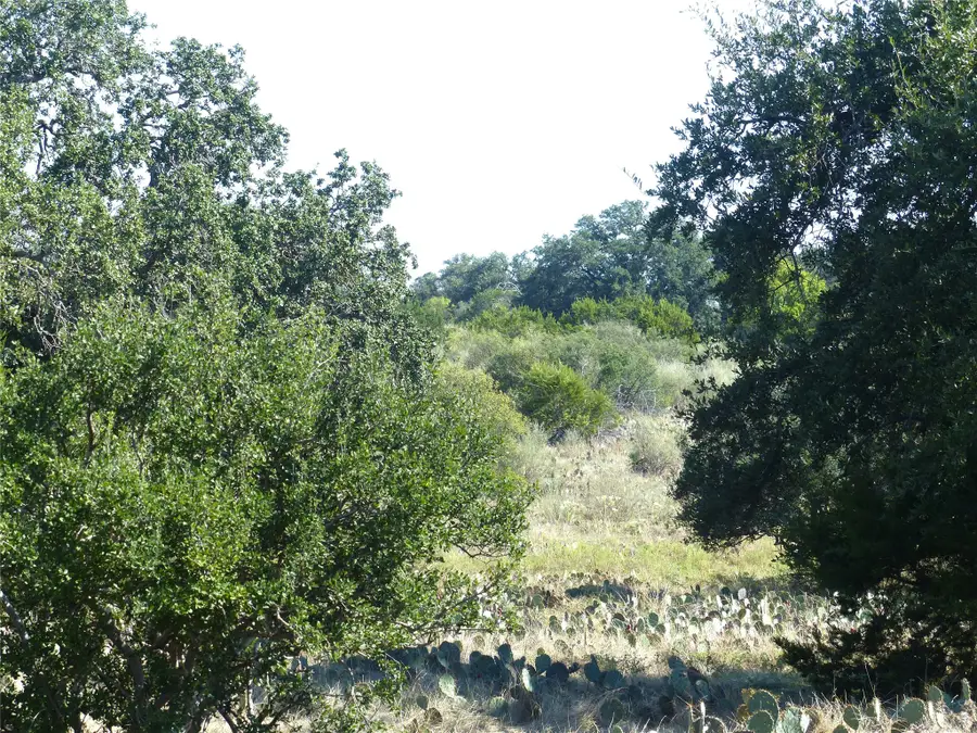 4251 State Hwy 71, Voca, TX 76887 - #3