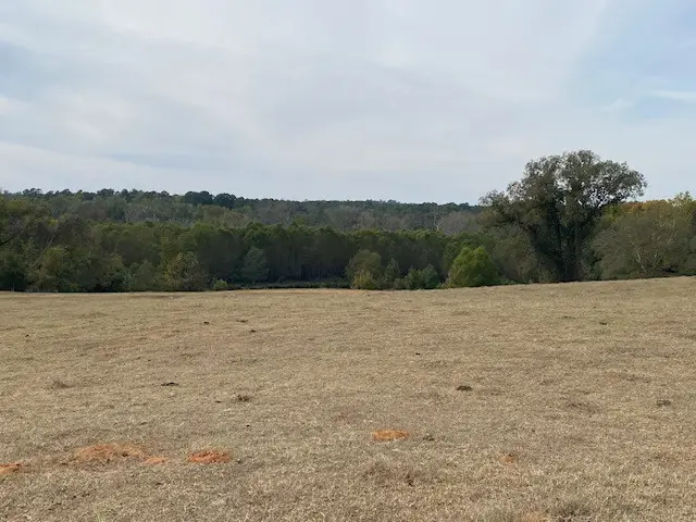 TBD Fm 315, Palestine, TX 75803 - #3