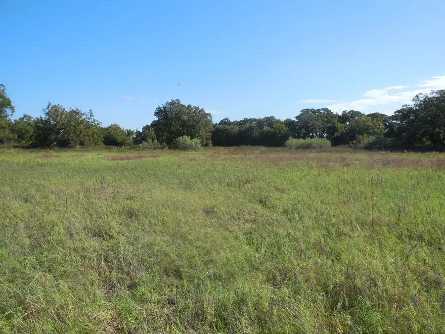 TBD Cr 232, Ranger, TX 76470 - #3