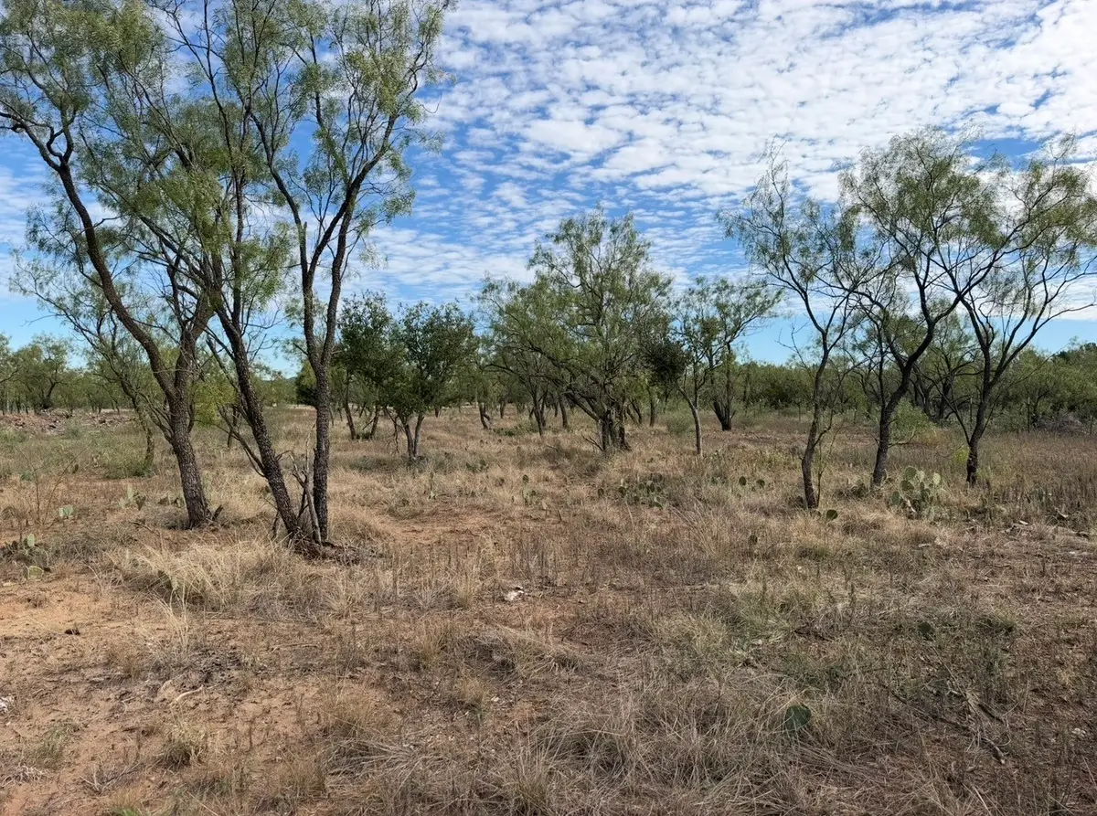 14650 Fawn Drive, West Tom Green, TX 76934 - #1