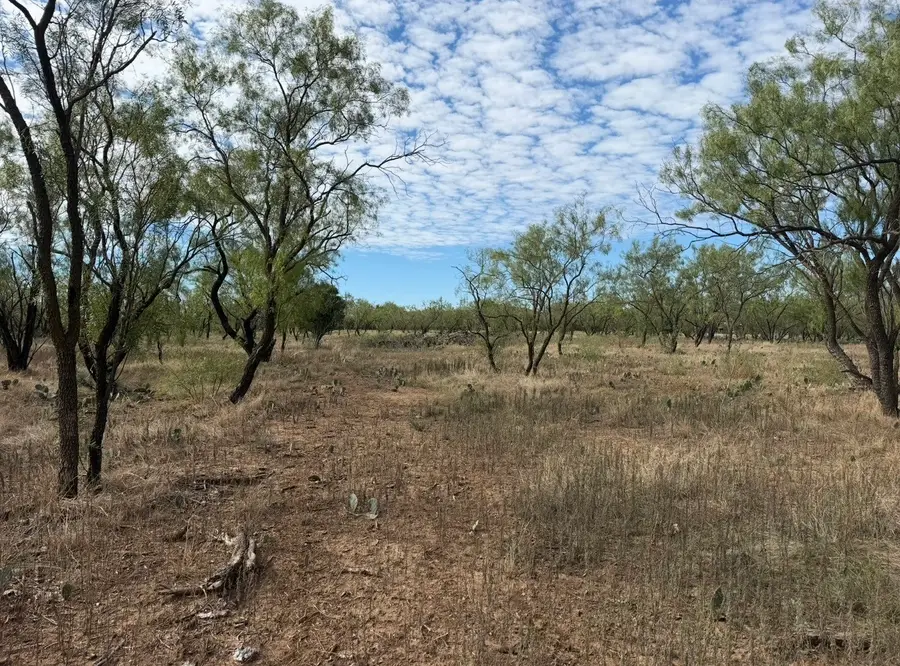 14650 Fawn Drive, West Tom Green, TX 76934 - #3