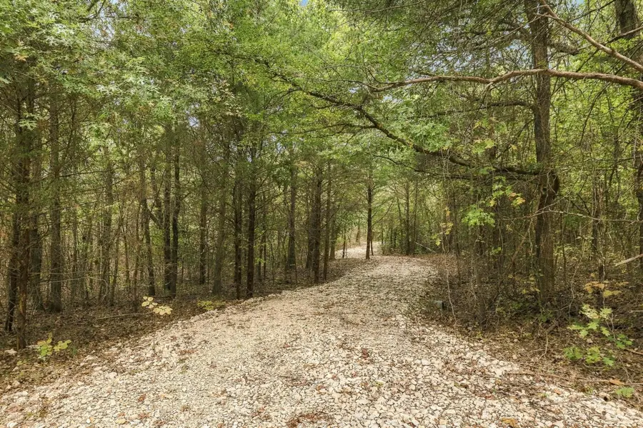 TBD Roy Ayres Road, Bells, TX 75414 - #2