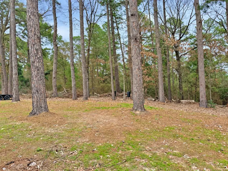 1503 An County Road 2110, Elkhart, TX 75839 - #3