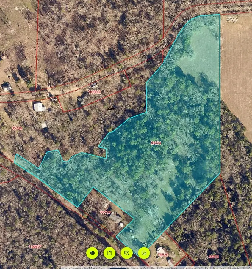 252 County Road 4560, Winnsboro, TX 75494 - #2