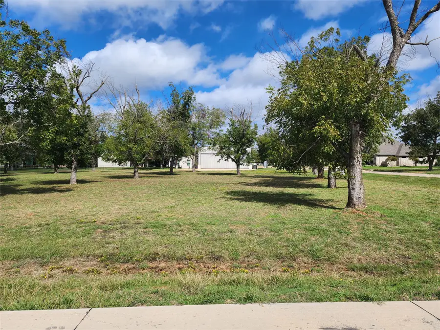 3013 Skyhawk Drive, Granbury, TX 76049 - #3