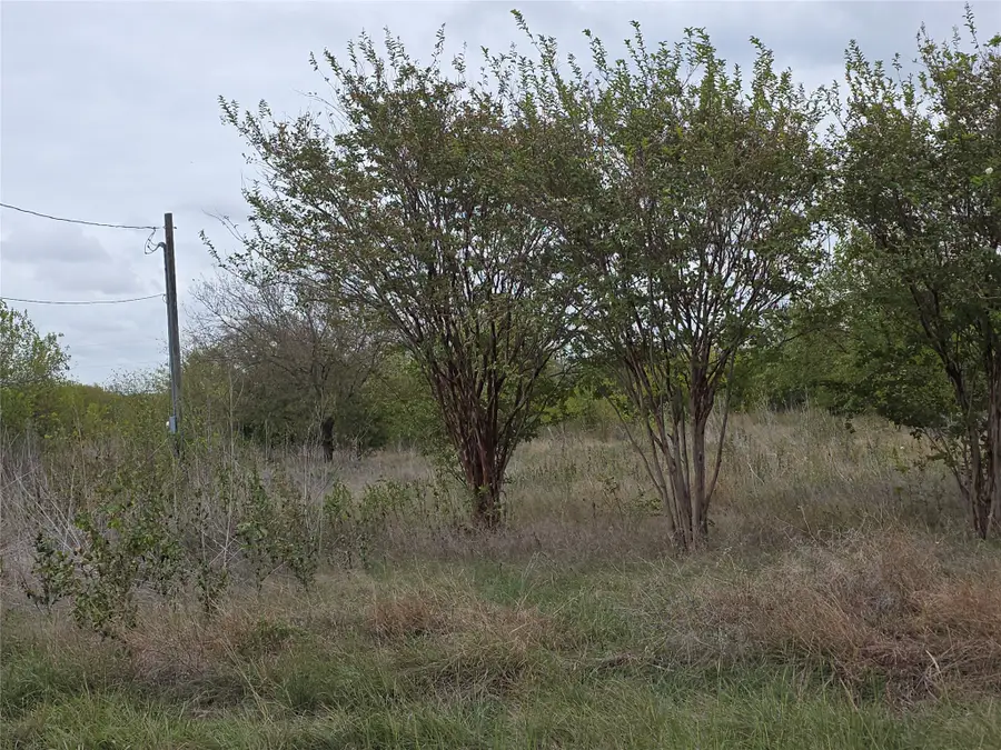 11816 Stonefield Street, Crowley, TX 76036 - #2