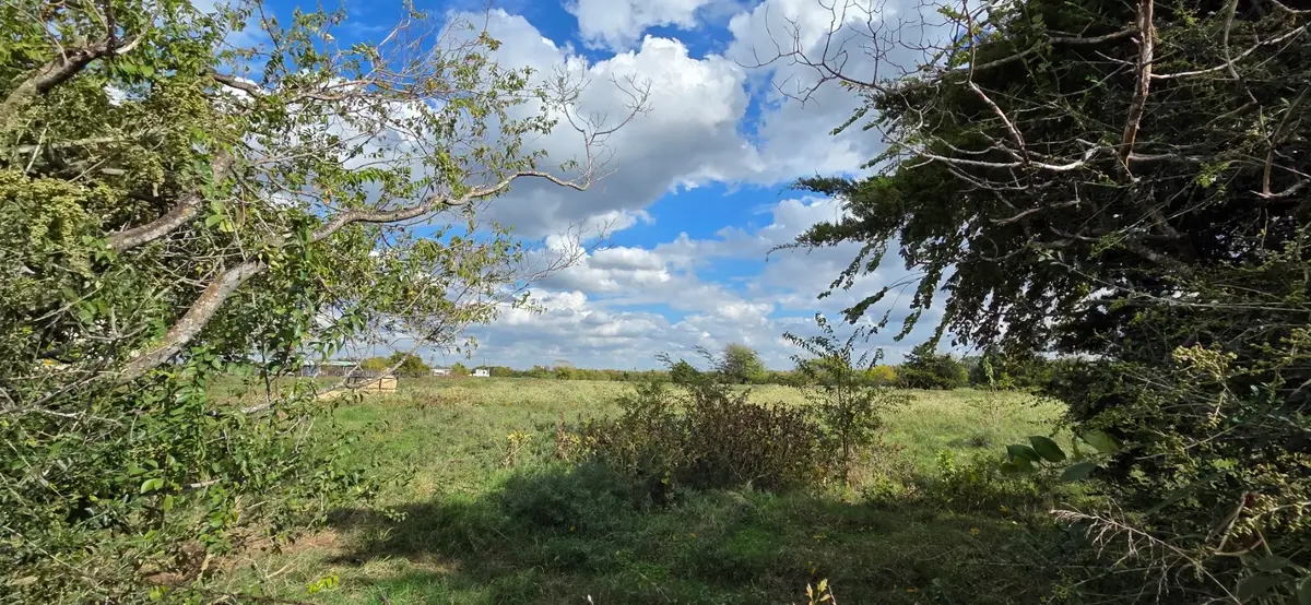 0000 Noland Road, Whitesboro, TX 76273 - #1