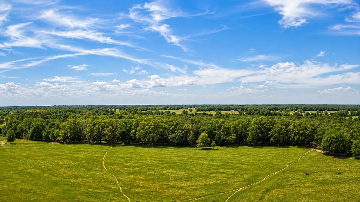 TBD LOT 2 Cr 44700, Blossom, TX 75416 - #1