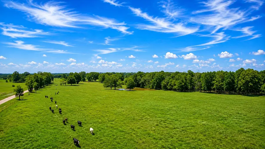 TBD LOT 2 Cr 44700, Blossom, TX 75416 - #2