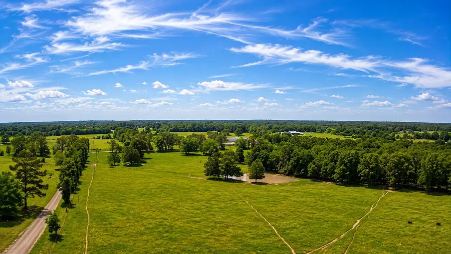 TBD LOT 2 Cr 44700, Blossom, TX 75416 - #3