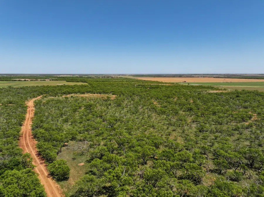 TBD Tract 7 Fm 1812, Hawley, TX 79525 - #3