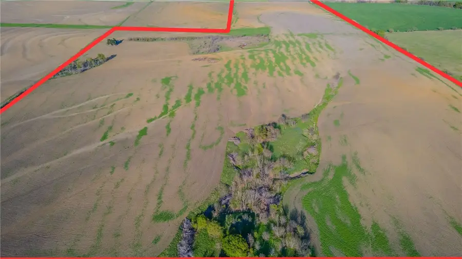 TBD Hcr 3306, Penelope, TX 76676 - Image #3