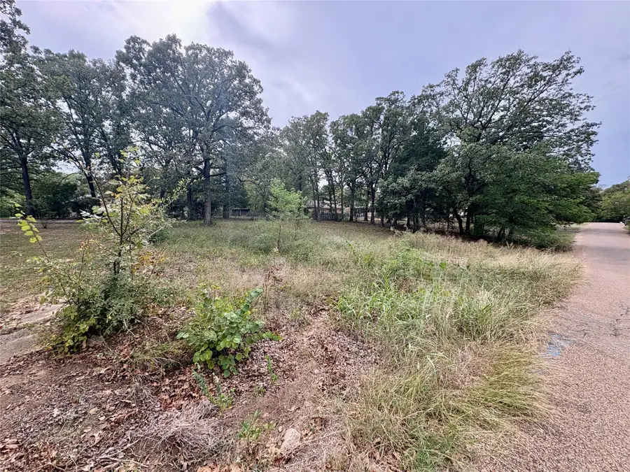 713 W Elm, Canton, TX 75103 - #2