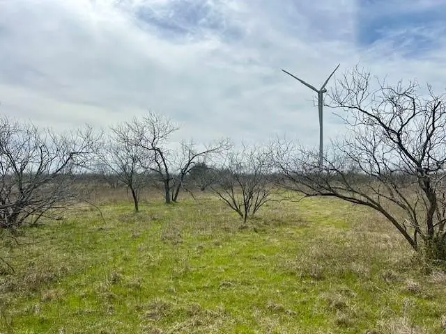 TBD SW Cr 4260 Lot 2, Dawson, TX 76639 - #1