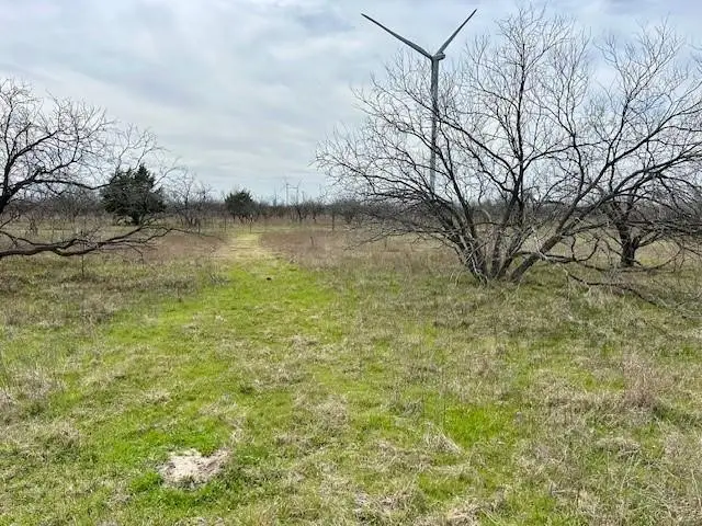 TBD SW Cr 4260 Lot 2, Dawson, TX 76639 - #3