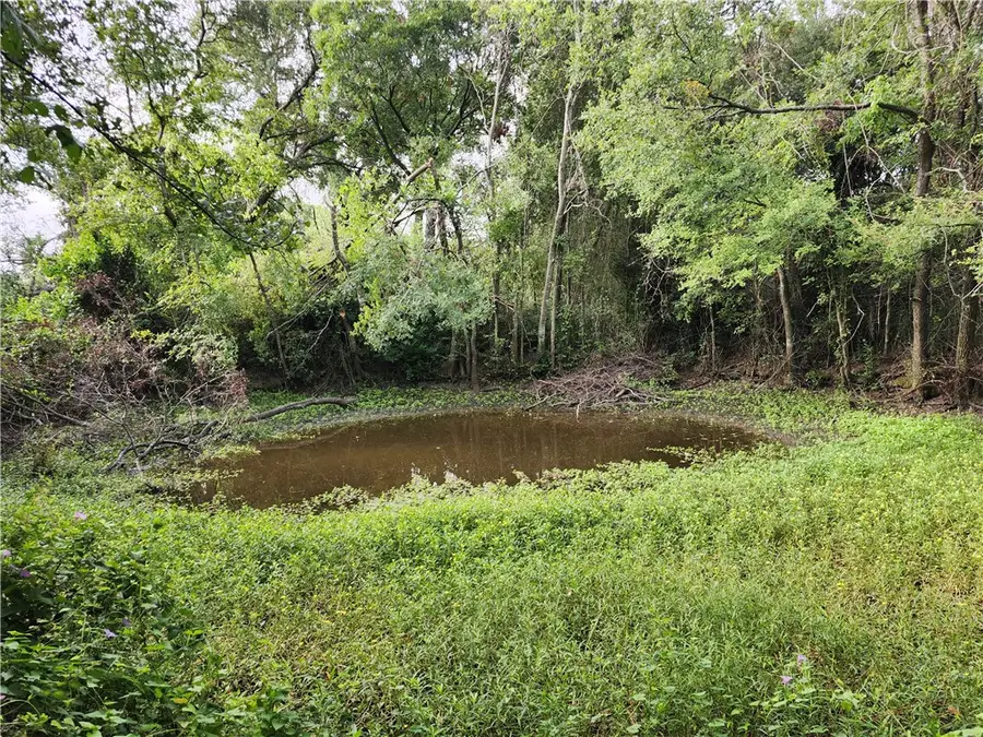 1202 Park Street, Marlin, TX 76661 - Image #3