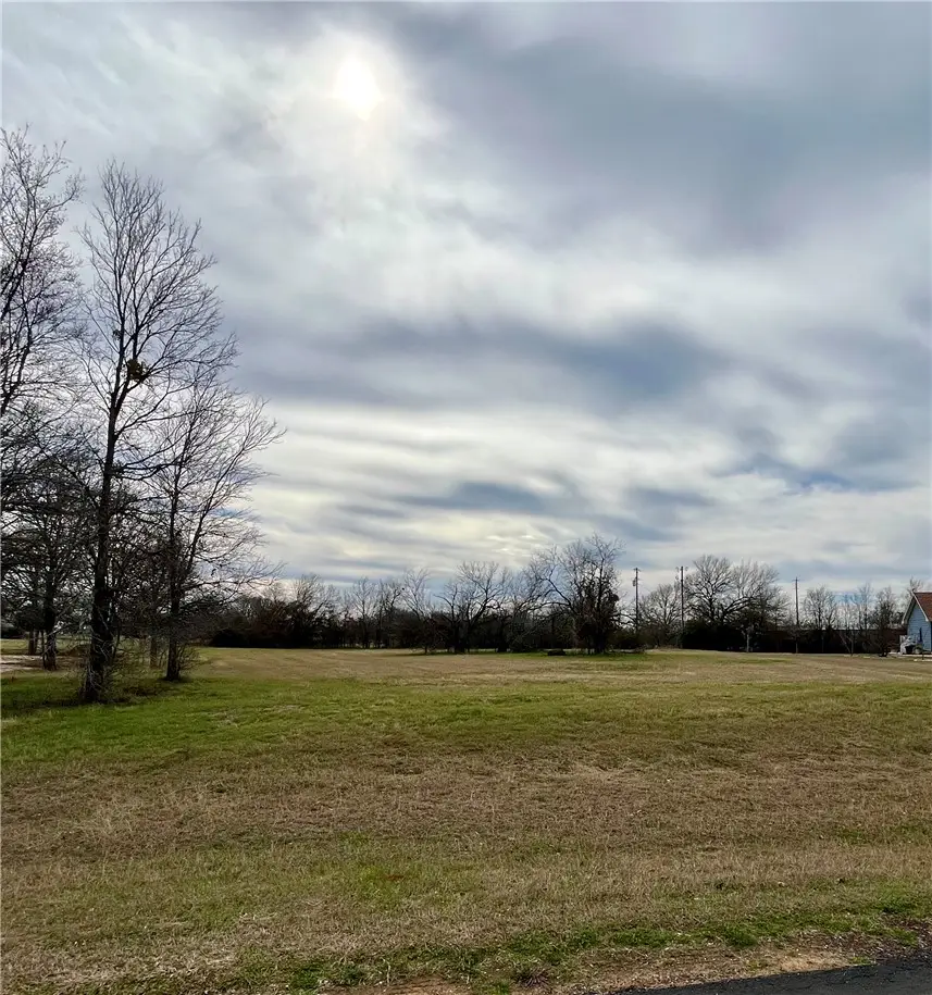 TBD Southpoint On Richland Chambers Lake, Streetman, TX 75859 - Image #3