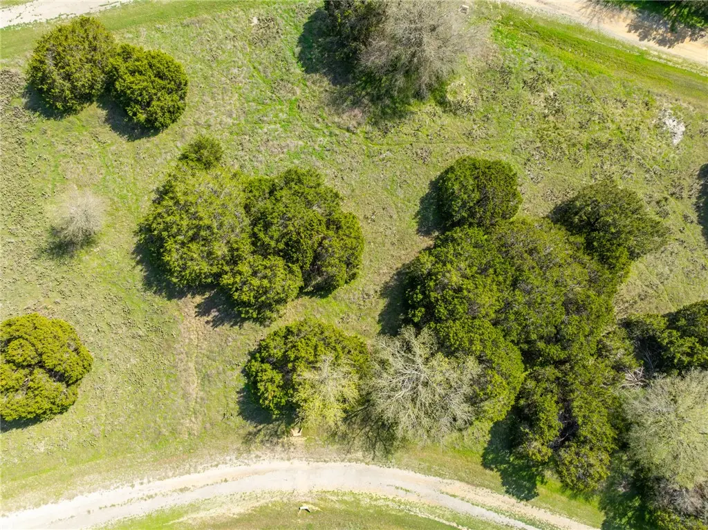 11082 Briarwood Drive, Whitney, TX 76692 - Image #1