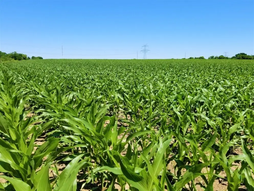 TBD Cr 459, Eddy, TX 76524 - Image #1