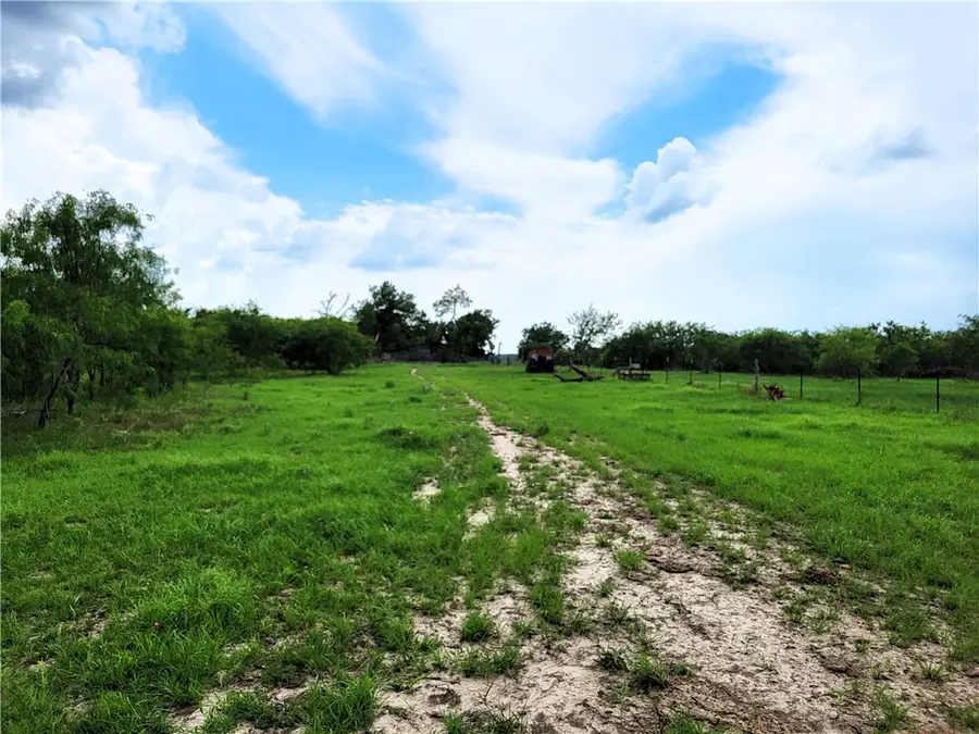 46 Acres Fm 339 S, Groesbeck, TX 76642 - #2