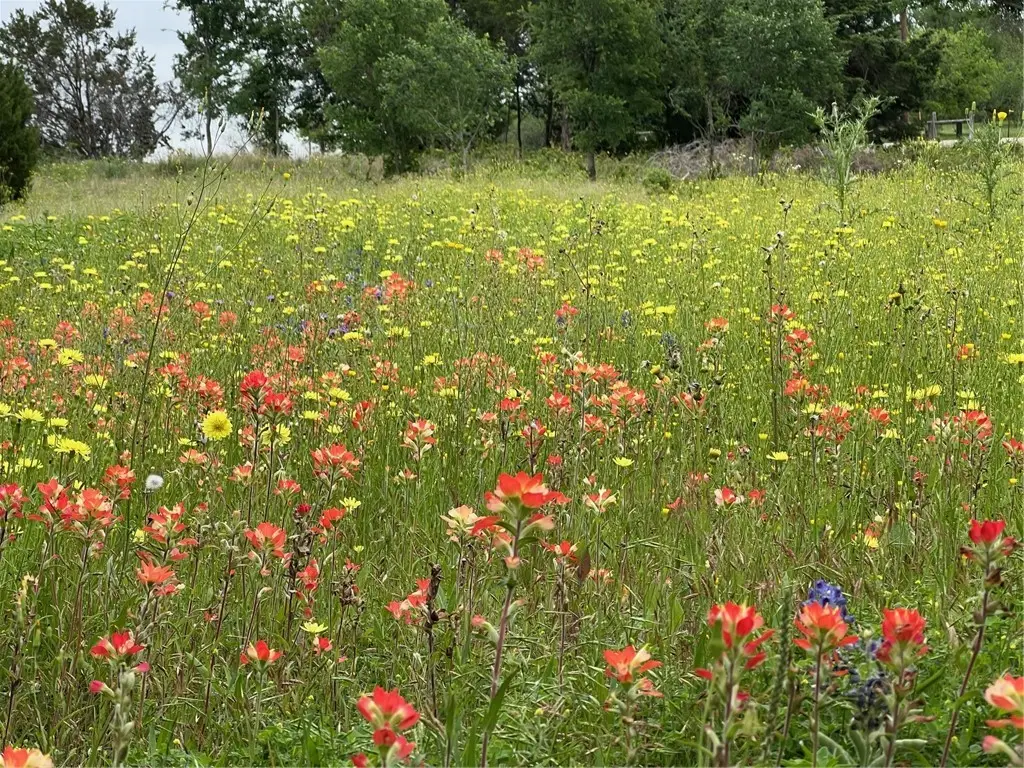 153 Suzanne Drive, Moody Lorena, TX 76657 - Image #1