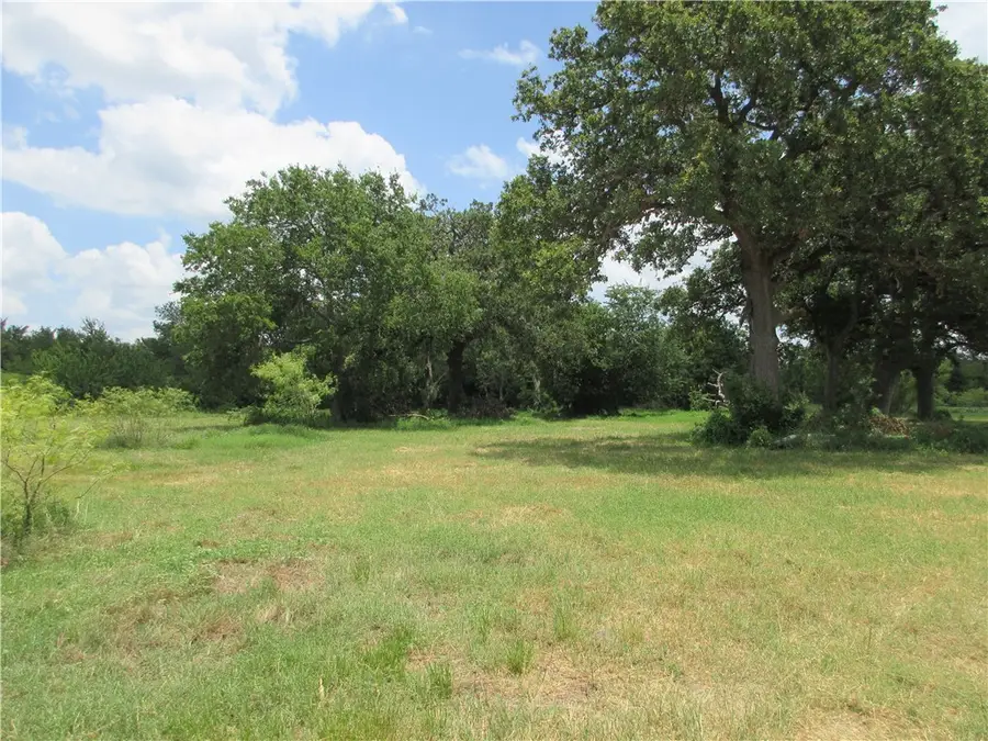 00 Roosevelt Street, Marlin, TX 76661 - Image #2