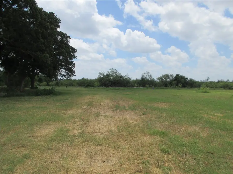 00 Roosevelt Street, Marlin, TX 76661 - Image #3
