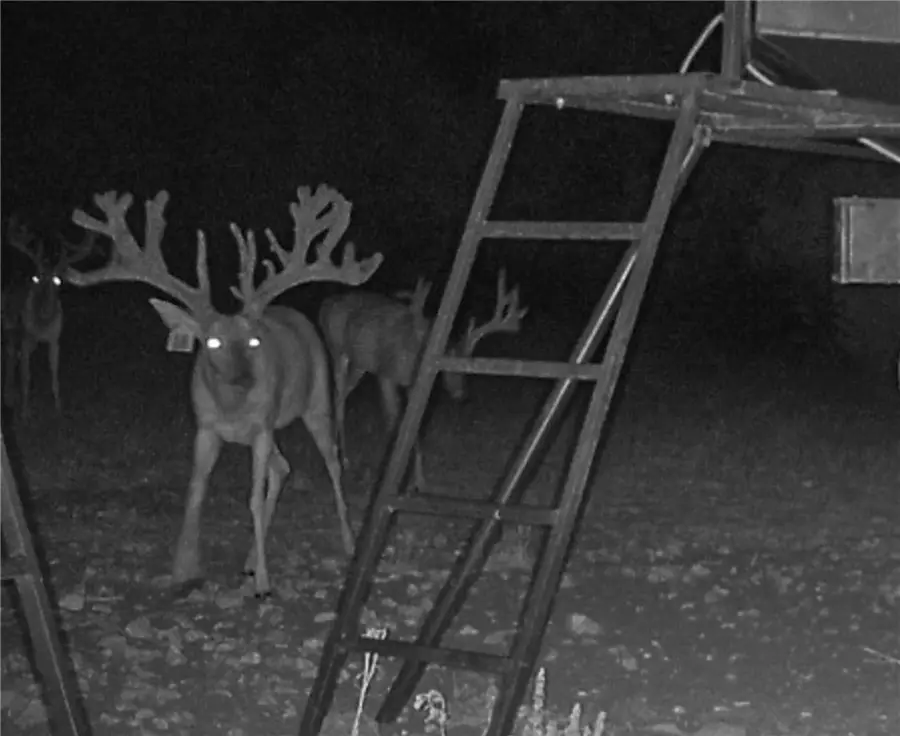 121 Pr 2123 Road, Meridian, TX 76665 - Image #2