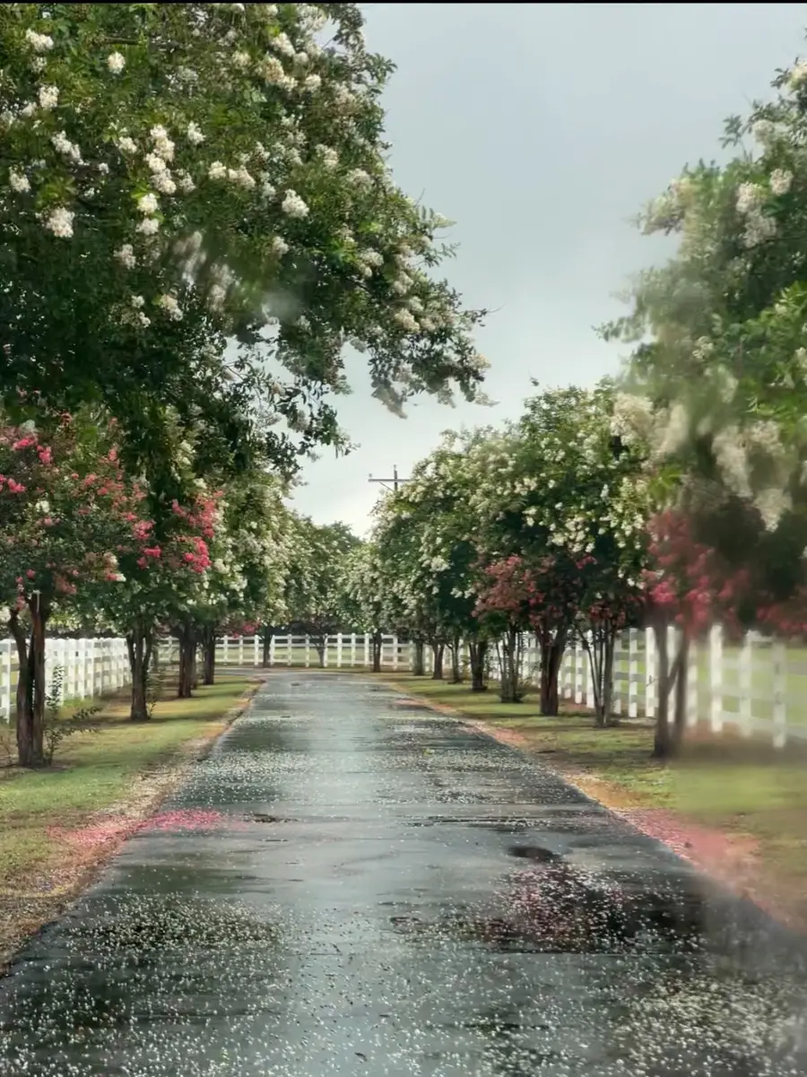 1064 Warren Road, Lorena, TX 76655 - Image #2