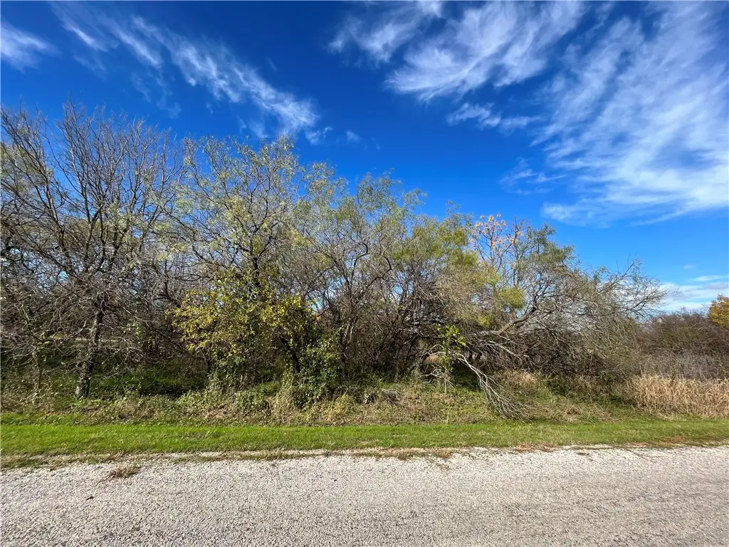 23030 Westmeadow Drive, Whitney, TX 76692 - #1