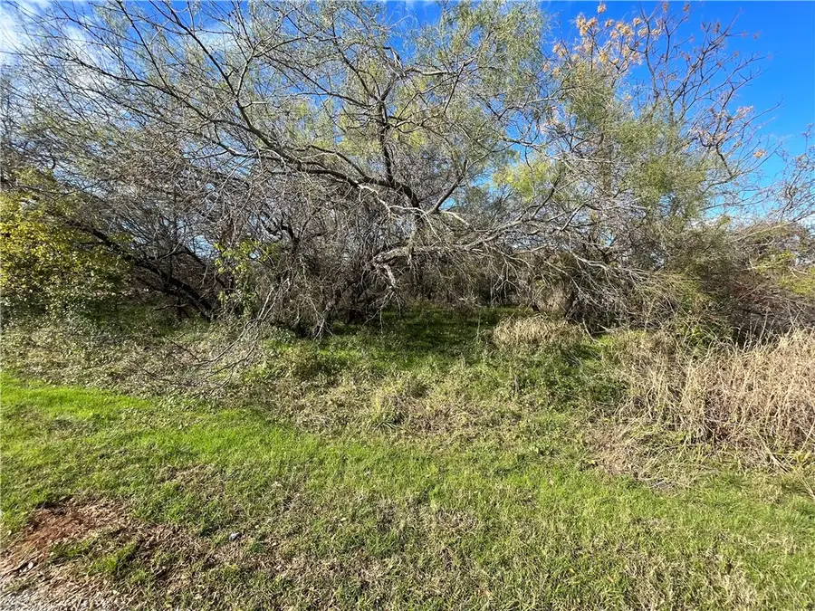 23030 Westmeadow Drive, Whitney, TX 76692 - #2