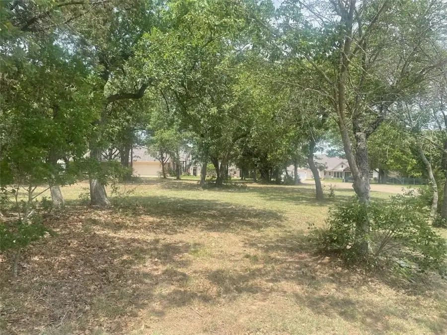 1027 Dominion Oaks Drive, China Spring, TX 76633 - Image #2