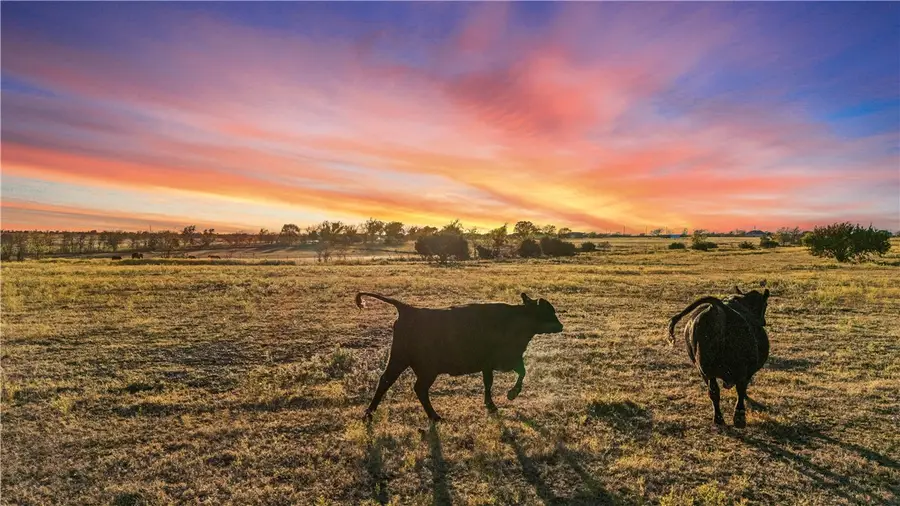 318 Cr 3355, Valley Mills, TX 76689 - Image #2