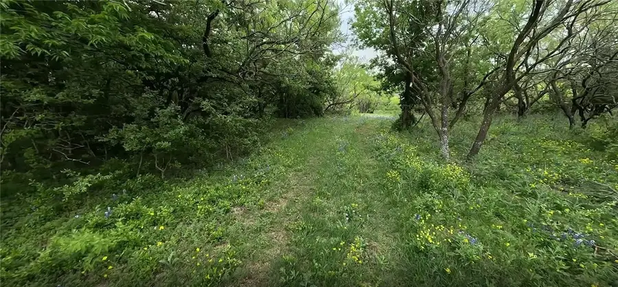 3955 Blue Cut Road, McGregor, TX 76657 - Image #3