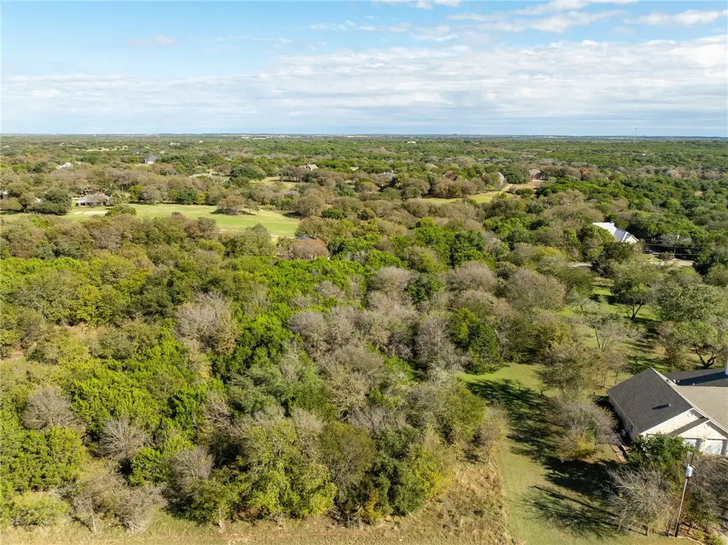 17124 Trailwood Drive, Whitney, TX 76692 - #1