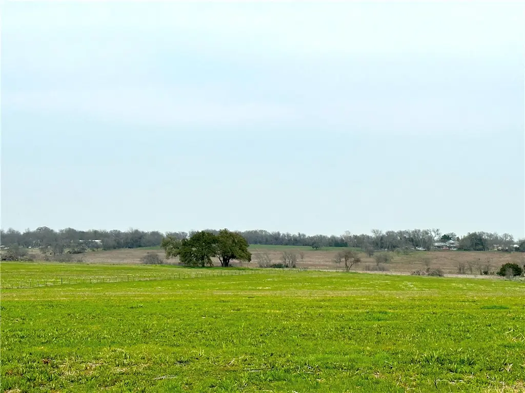 Sunset Ranch Tract 10 Cr 356 Road, Gatesville, TX 76528 - #1