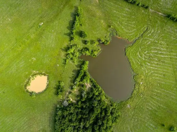 165 Ac Turner Lane, Franklin, TX 77856 - Image #3