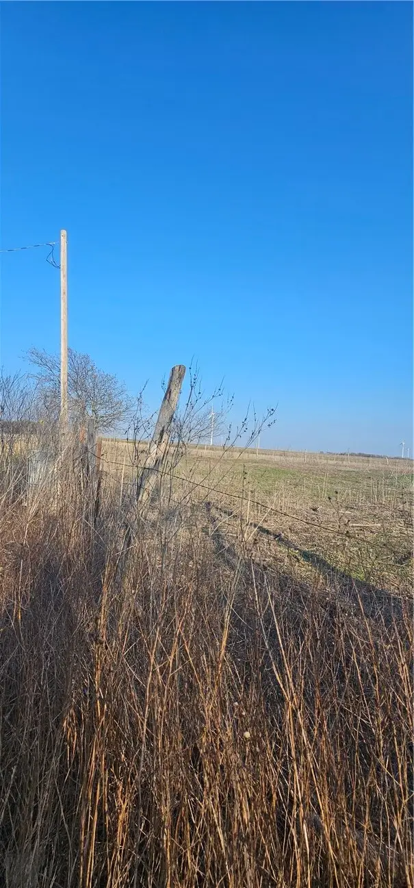 1851 Fm 339, Mount Calm, TX 76673 - Image #3