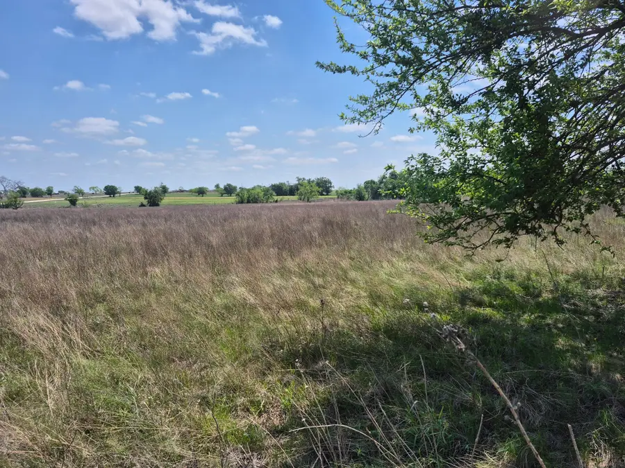 T.B.D Pr 4311, Jonesboro, TX 76538 - Image #2