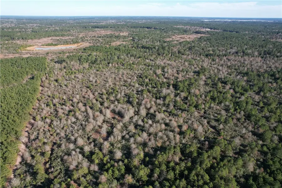 000 Cr 302, Plantersville, TX 77363 - Image #2