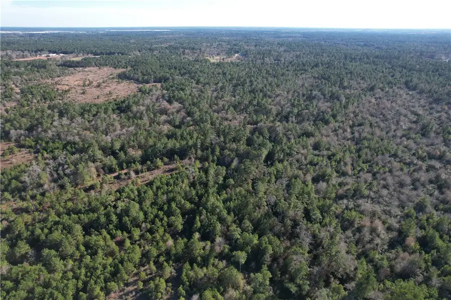 000 Cr 302, Plantersville, TX 77363 - Image #3